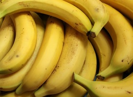 'Waarom zijn bananen krom?' Podcast voor kinderen over de wetenschap
