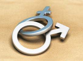 Handreiking voor genderinclusiviteit in het hoger onderwijs