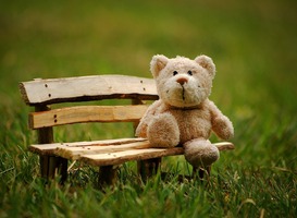 'De Week van de Verloren Knuffel' van start bij de NS