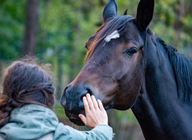 Project Horsepower van UU heeft Prinses Margarita als beschermvrouwe
