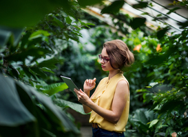 'AI voor landbouw, horticultuur, water en voedsel'