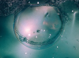 Tijdens HKU-symposium staat de relatie van de mens met water centraal