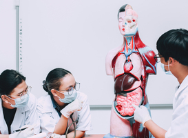 Geneeskundeopleiding wil ongeschikte studenten makkelijker wegsturen