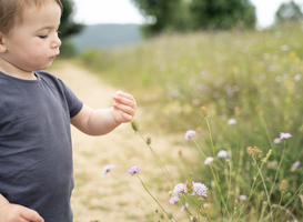 Week 47: Brandende tablet, veilige bushalte en agrarische kinderopvang