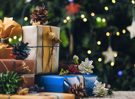 Mbo'ers verzamelen kerstcadeautjes voor onder 'De Weggeefboom'