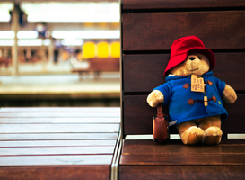 Help knuffels hun baasjes terugvinden tijdens Week van de Verloren Knuffel
