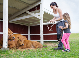 Agrarische kinderopvang wint ook in Drenthe aan populariteit