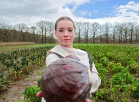 Aeres MBO Velp start met opleiding biologische teelt