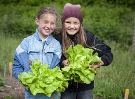 Elke basisschool in Arnhem ontvangt subsidie voor eigen moestuin