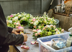 Leerlingen Terra Emmen winnen voorronde Skills Talents op onderdeel Bloemwerk