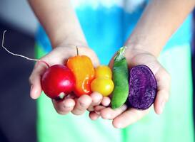 Gratis informatieve cursus over gezond eten