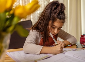 Bijles vooral voor elitekinderen, gemeente Baarn stelt plan op