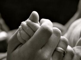 Toeslagenouders uit Pesse krijgen na jaren procederen hun kinderen terug