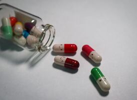 KHMW Langerhuizen Oeuvreprijs gaat naar hoogleraar Christine Mummery