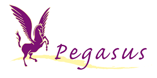 Pegasus Psychotherapie Praktijk voor psychotherapie voor volwassenen en ouderen